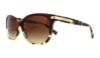 Picture of Coach Sunglasses HC8132 L109