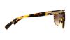 Picture of Coach Sunglasses HC8132 L109