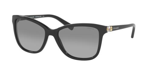 Picture of Coach Sunglasses HC8187B L1597