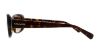 Picture of Coach Sunglasses HC8168 L156