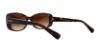 Picture of Coach Sunglasses HC8168 L156