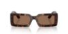 Picture of Dolce & Gabbana Sunglasses DG4416