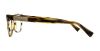 Picture of Dolce & Gabbana Eyeglasses DG3260