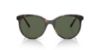 Picture of Vogue Sunglasses VO5453S