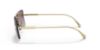 Picture of Versace Sunglasses VE2245