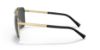 Picture of Versace Sunglasses VE2238