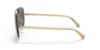 Picture of Versace Sunglasses VE2231