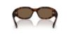 Picture of Versace Sunglasses VE4361