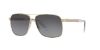 Picture of Versace Sunglasses VE2174