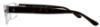 Picture of Polo Eyeglasses PH2065