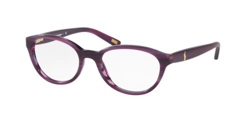 Picture of Polo Eyeglasses PP8526
