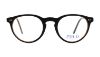 Picture of Polo Eyeglasses PH2083