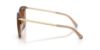 Picture of Michael Kors Sunglasses MK2079U