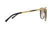 Picture of Michael Kors Sunglasses MK1010 Adrianna I