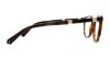 Picture of Swarovski Eyeglasses SK5258