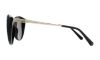 Picture of Swarovski Sunglasses SK0168