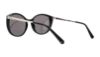 Picture of Swarovski Sunglasses SK0168
