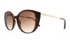 Picture of Swarovski Sunglasses SK0168