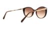 Picture of Swarovski Sunglasses SK0168