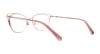 Picture of Swarovski Eyeglasses SK5260