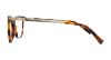 Picture of Swarovski Eyeglasses SK5249-H