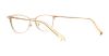 Picture of Swarovski Eyeglasses SK5246