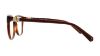 Picture of Swarovski Eyeglasses SK5242