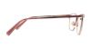 Picture of Swarovski Eyeglasses SK5246