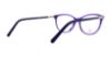 Picture of Swarovski Eyeglasses SK5240