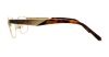 Picture of Swarovski Eyeglasses SK5216