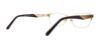 Picture of Swarovski Eyeglasses SK5216