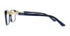 Picture of Swarovski Eyeglasses SK5158 Flame