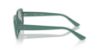 Picture of Ray Ban Sunglasses RB4421D