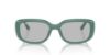Picture of Ray Ban Sunglasses RB4421D
