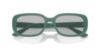 Picture of Ray Ban Sunglasses RB4421D