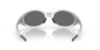 Picture of Oakley Sunglasses EYEJACKET REDUX