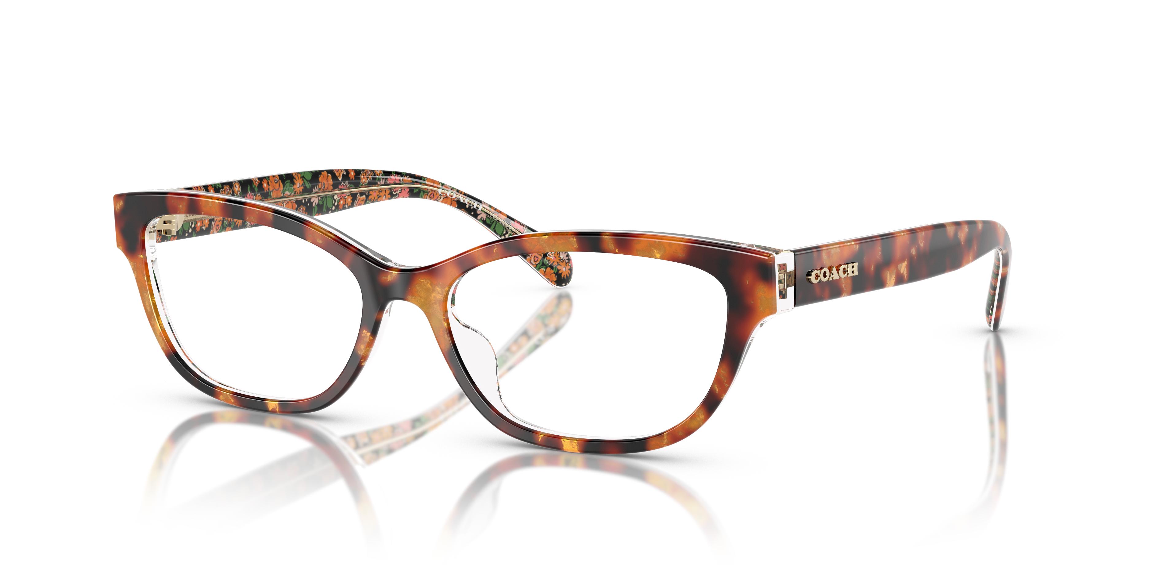 Picture of Coach Eyeglasses HC6250U