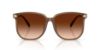 Picture of Coach Sunglasses HC8413BD