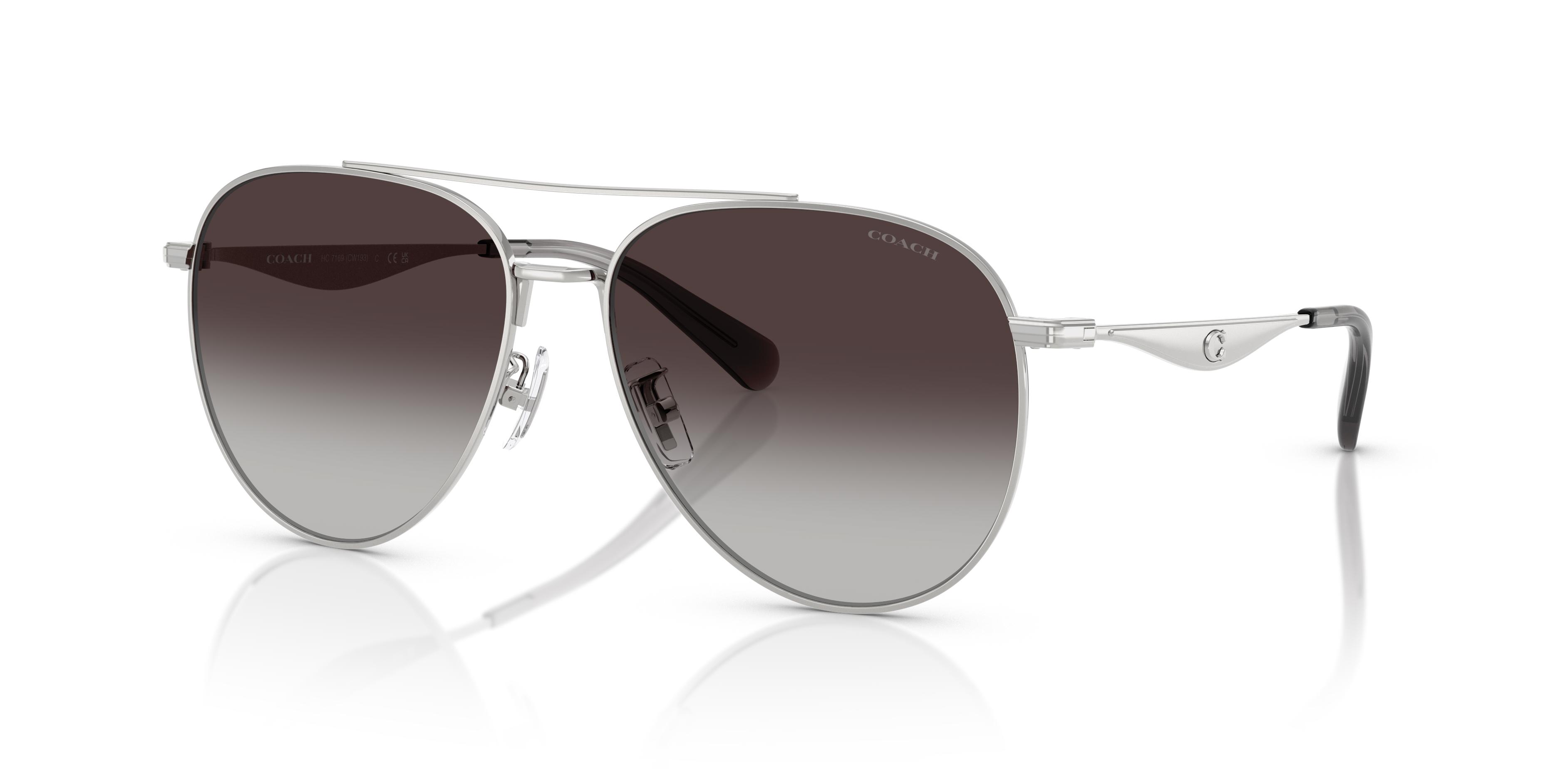 Picture of Coach Sunglasses HC7169