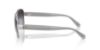 Picture of Coach Sunglasses HC7161