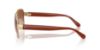 Picture of Coach Sunglasses HC7161