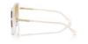 Picture of Coach Sunglasses HC8401D