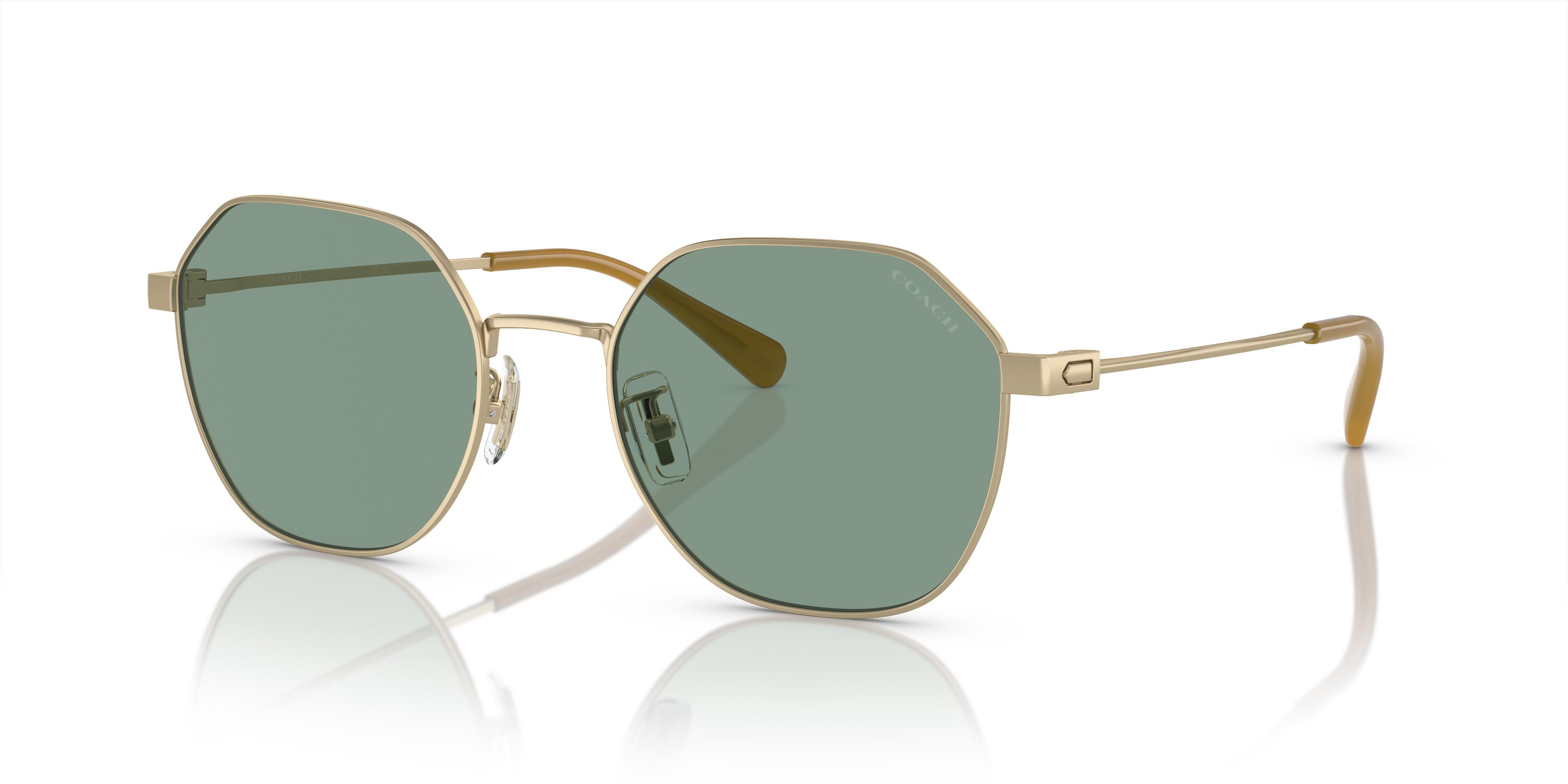 Picture of Coach Sunglasses HC7155