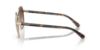 Picture of Coach Sunglasses HC7147