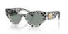 Picture of Dolce & Gabbana Sunglasses DG4480