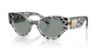 Picture of Dolce & Gabbana Sunglasses DG4480F