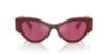 Picture of Dolce & Gabbana Sunglasses DG4480F