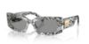 Picture of Dolce & Gabbana Sunglasses DG4479F