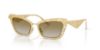Picture of Dolce & Gabbana Sunglasses DG2311