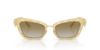 Picture of Dolce & Gabbana Sunglasses DG2311
